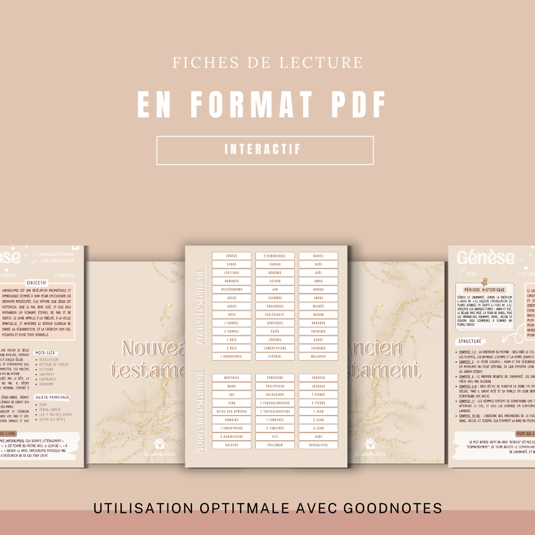Fiches de lecture digital
