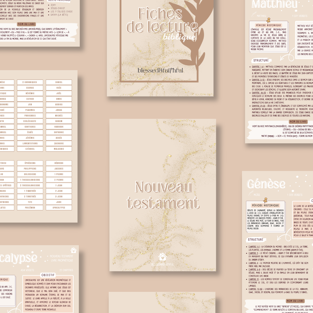 Fiches de lecture - digital