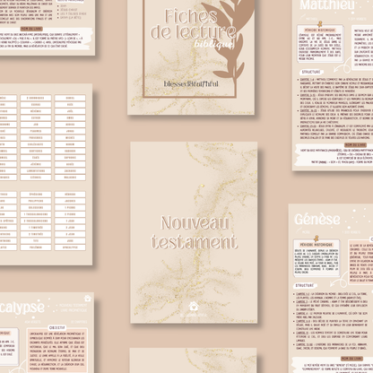 Fiches de lecture digital