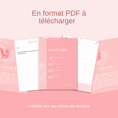 Méditer sur les héros de la bible - rose